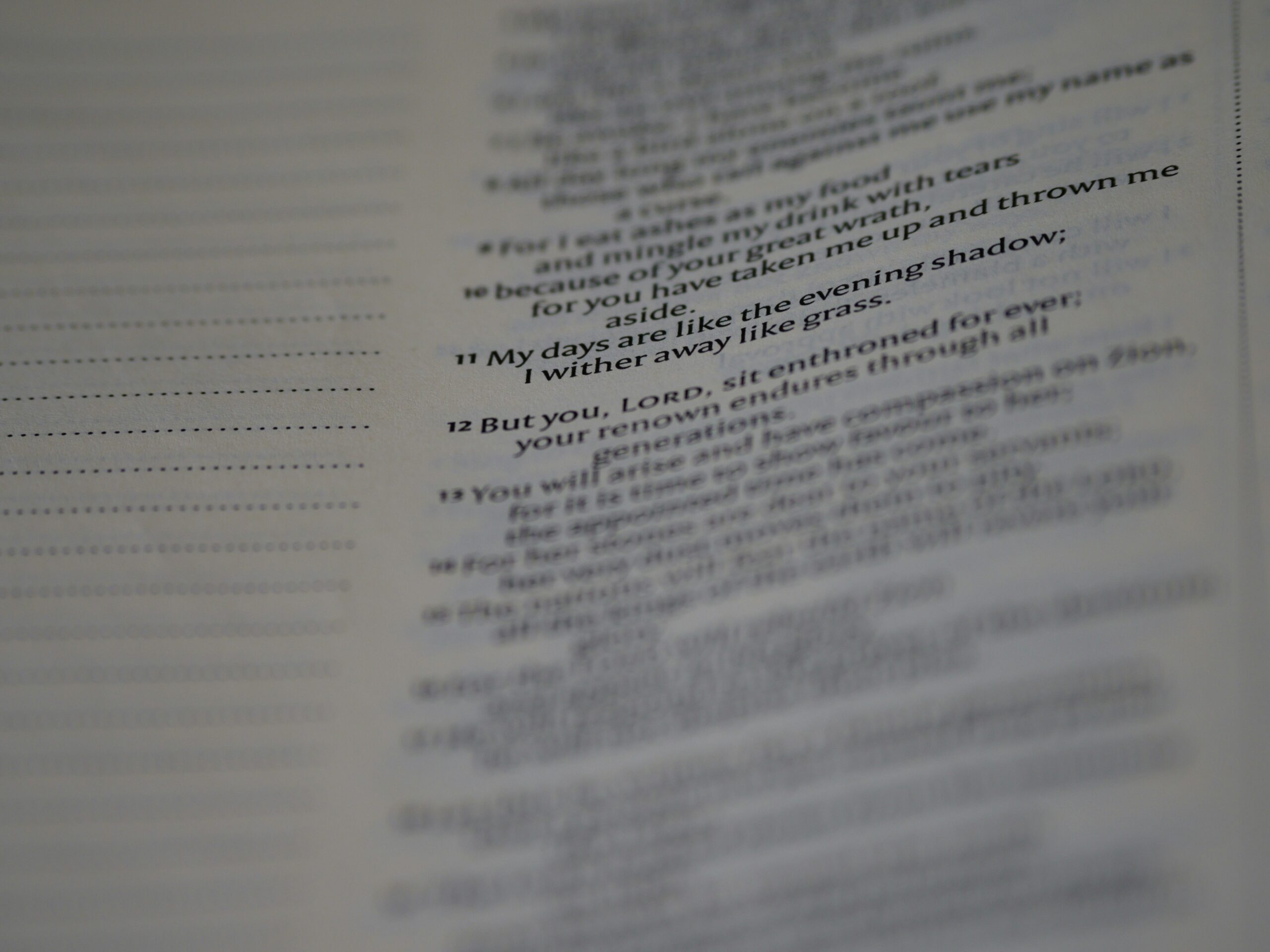 Screenshot of sample freelance contract highlighting payment terms and revision limits