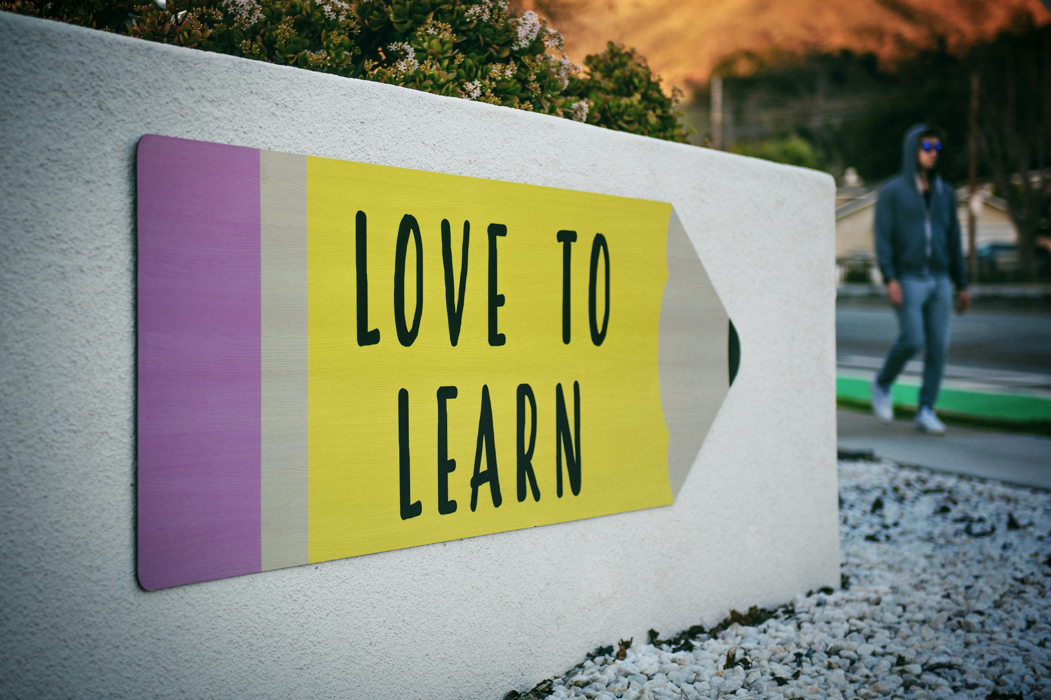 How to Master Portfolio Freelance Design: Tools, Tips, and Strategies for Success